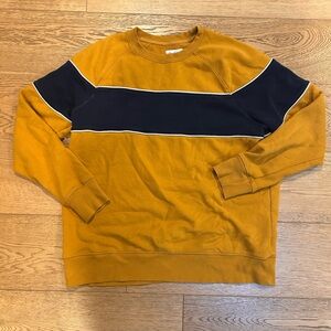 Goodfellow & Co Mustard and Navy Crewneck Sweater